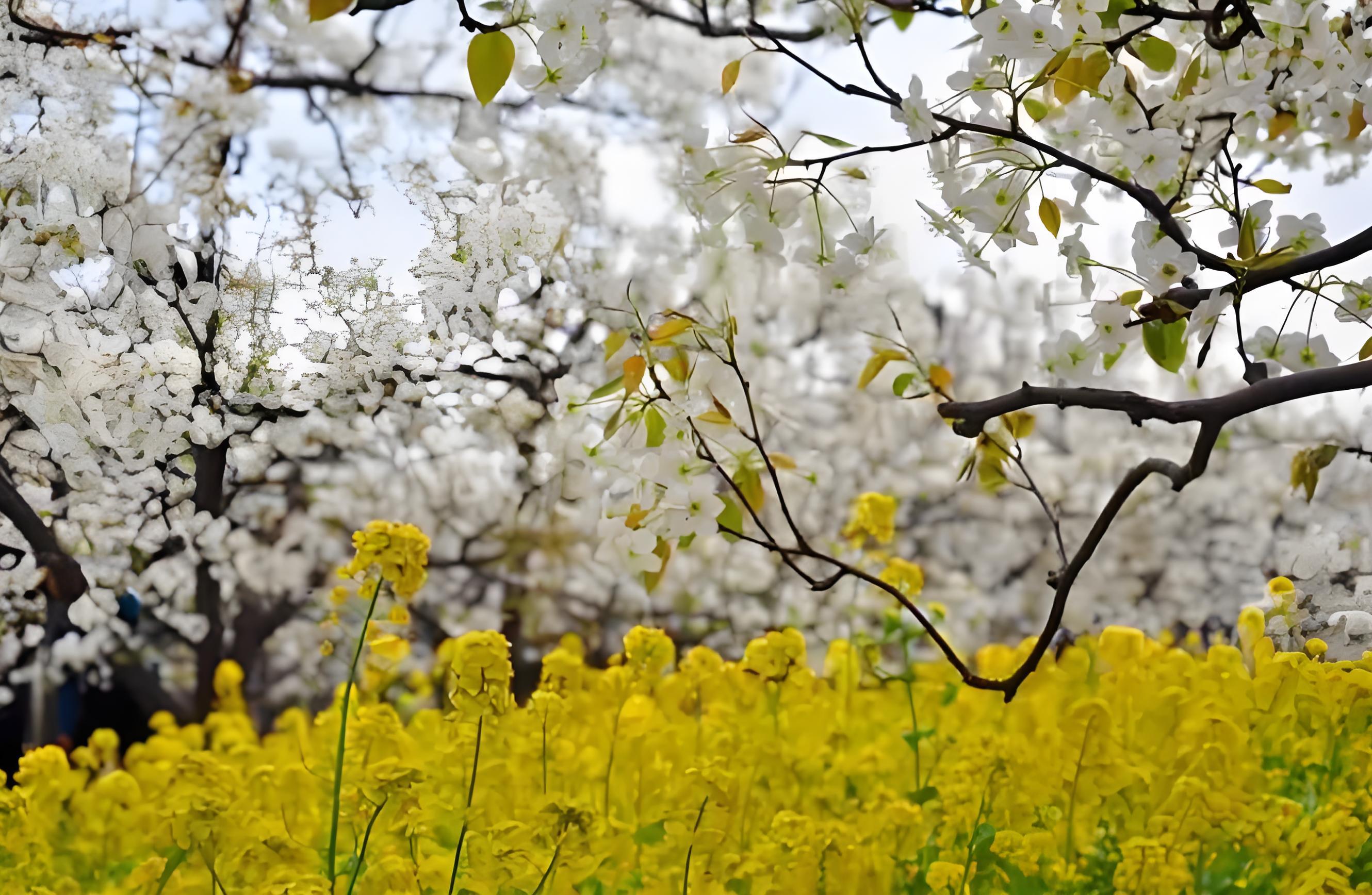 Återupptagande av arbetet efter Qingming Festival Holiday: Reflektion och framåt